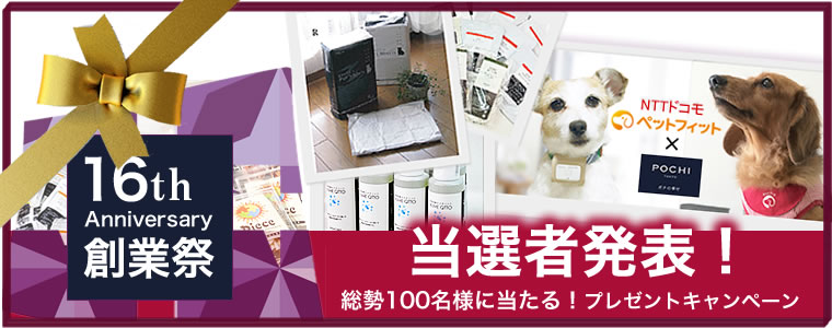 16th記念創業祭 プレゼントキャンペーン