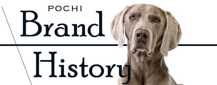 BrandHistory -POCHIは日本の犬にとって、飼い主様にとってどんな存在でありたいか。