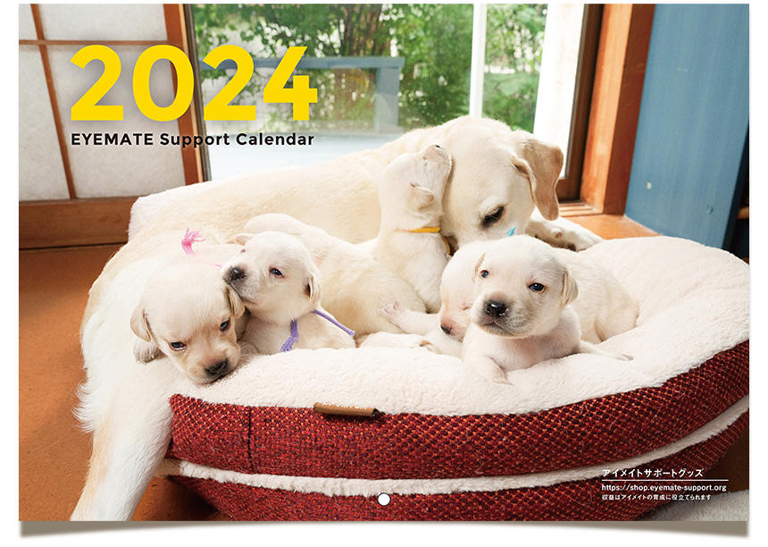 Dog Snapshot R 令和の犬景Vol.33　「アイメイト・サポートカレンダー」で振り返る1年
