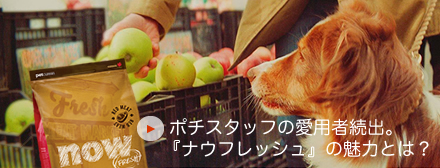 愛用スタッフから見たナウフレッシュの魅力