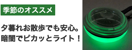 夕暮れお散歩ライト