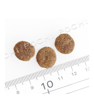 ナチュラルバランス ポテト＆ダック