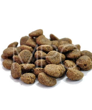 フォルツァ10 ラム＆ライス オールブリード 12.5kg