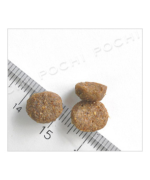 アルモネイチャー アダルトドッグスモールブリード　ラムライス