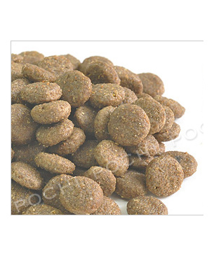 アルモネイチャー アダルトドッグスモールブリード　サーモンライス