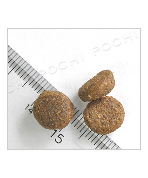 アルモネイチャー アダルトドッグスモールブリード　サーモンライス