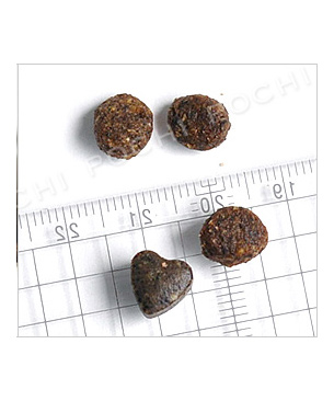 フォルツァ10 リナールアクティブ（腎臓ケア療法食）