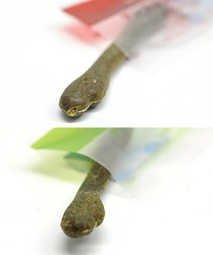 POCHI ガム食べ比べセット