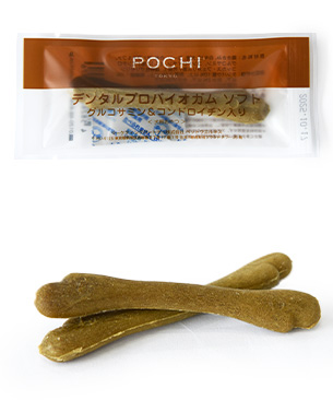 POCHI こどもの日 ガムセット こいのぼり袋付き