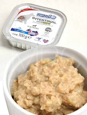 フォルツァ10 インテスティナル アクティウェット （胃腸ケア）