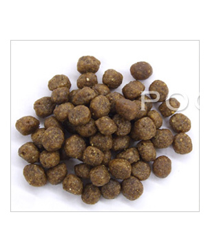 フォルツァ10 CAT　ミスターフルーツ　ライト