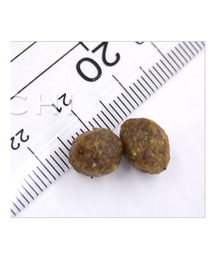 フォルツァ10 CAT　ミスターフルーツ　ライト