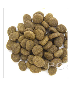 アルモネイチャー ホリスティッククロケットキャット　フレッシュフィッシュ（旧：フィッシュ＆ライス）