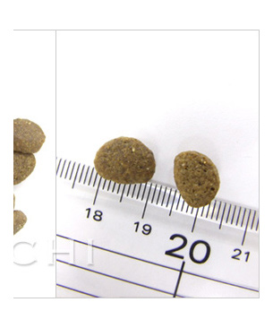 アルモネイチャー ホリスティッククロケットキャット　フレッシュフィッシュ（旧：フィッシュ＆ライス）