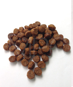 アルモネイチャー ホリスティッククロケットキャット　フレッシュチキン（旧：チキン＆ライス）