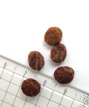 アルモネイチャー ホリスティッククロケットキャット　フレッシュチキン（旧：チキン＆ライス）