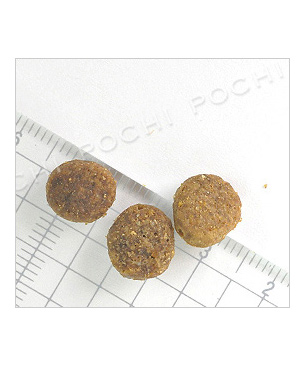 アルモネイチャー CAT ホリスティッククロケット フレッシュターキー(旧：ターキー＆ライス）