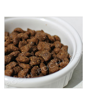 フォルツァ10 CAT　レギュラーダイエット　フィッシュ