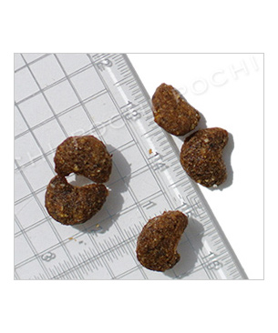 フォルツァ10 CAT　レギュラーダイエット　フィッシュ