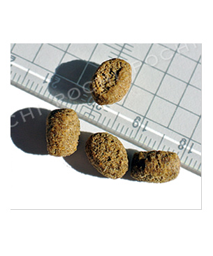 ナチュラルバランス CAT　ファットキャッツキャットフード　2.72kg