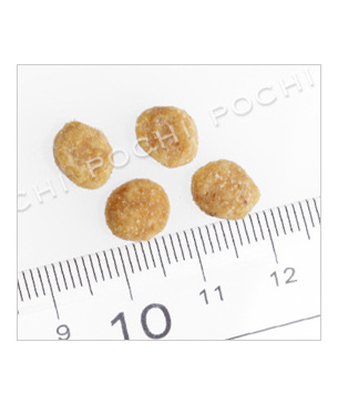 ナチュラルバランス CAT　グリンピース＆ダック