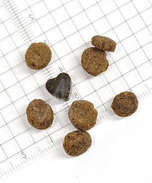 フォルツァ10 CAT ウリナリーアクティブ(泌尿器ケア療法食)