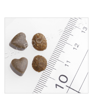 フォルツァ10 CAT リナールアクティブ(腎臓ケア療法食)