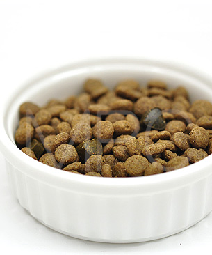 フォルツァ10 CAT ウェイトコントロールアクティブ(体重ケア療法食)