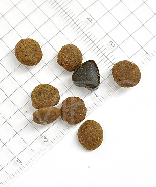 フォルツァ10 CAT ウェイトコントロールアクティブ(体重ケア療法食)