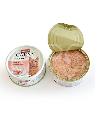 アニモンダ カーニーオーシャン　サーモンとサーディン　80g