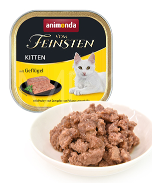 アニモンダ フォムファインステンキトン　ポルトリー・豚肉・牛肉100g