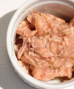 アルモネイチャー CAT  ツナフィレ&ロブスター 55ｇ（旧ルージュラベル）