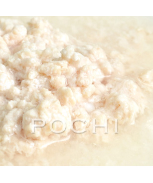 POCHI Marche 鶏の白スープ 80g
