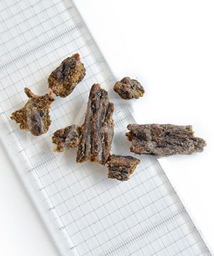 アブソルート　DOG　ホリスティックエアドライ　ドッグフード　ラム&サーモン　お試しミニサイズ 20g