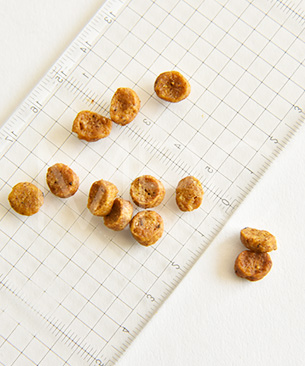 アルモネイチャー CAT ユリナリーサポート フレッシュチキン