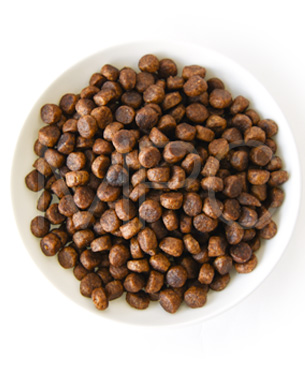 アニモンダ CAT カーニー ドライ 子猫用 鶏