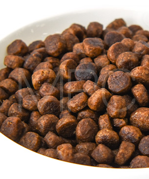 アニモンダ CAT カーニー ドライ 子猫用 鶏