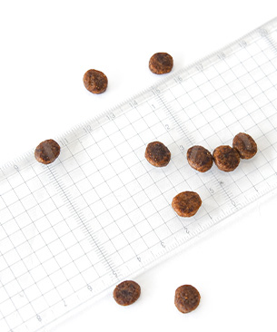 アニモンダ CAT カーニー ドライ 成猫用 鶏・牛