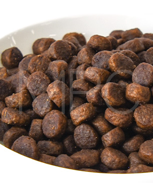 アニモンダ CAT カーニー ドライ 成猫用 鶏・トラウト