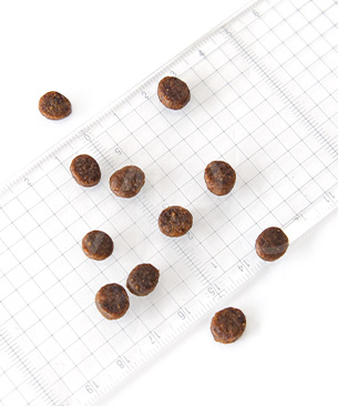 アニモンダ CAT カーニー ドライ 成猫用 鶏・トラウト