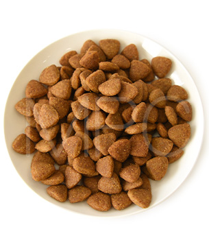 アニモンダ DOG インテグラプロテクト アレルギーケア ドライフード