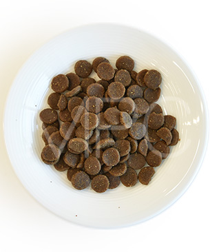 アカナ CAT ワイルドプレイリー