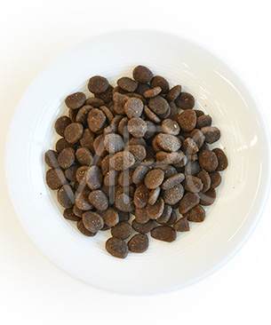 アカナ CAT パシフィカ