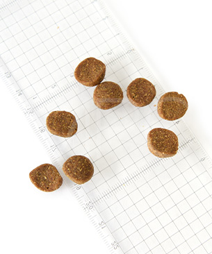 アカナ DOG シニアドッグレシピ 2kg