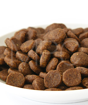 アカナ DOG ワイルドプレイリードッグレシピ 2kg