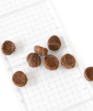 アカナ DOG ワイルドプレイリードッグレシピ 2kg