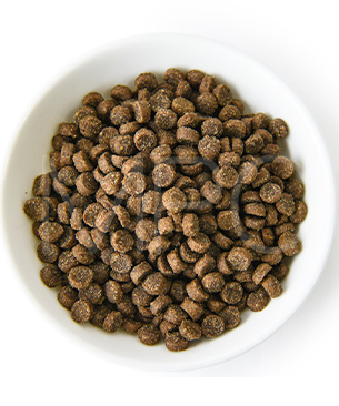 アンブロシア CAT クラシック サーモン＆チキン