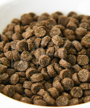 アンブロシア CAT クラシック サーモン＆チキン