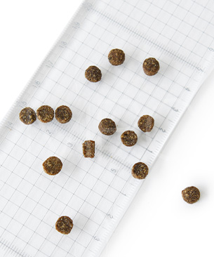 アンブロシア CAT クラシック サーモン＆チキン