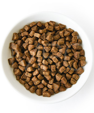 アンブロシア CAT クラシック ターキー＆ヘリング